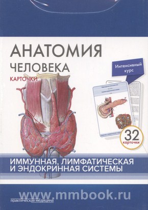 Анатомия человека: карточки. — Иммунная, лимфатическая и эндокринная системы
