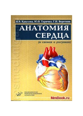 Анатомия сердца. В схемах и рисунках