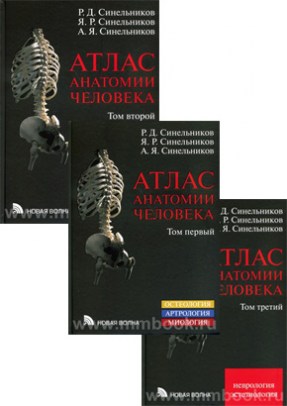 Атлас анатомии человека в 3 томах