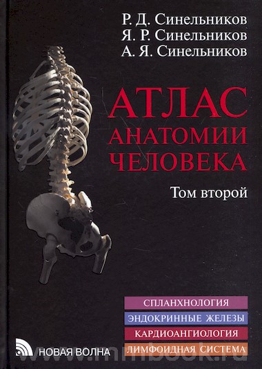 Атлас анатомии человека в 3-х т. Том 2