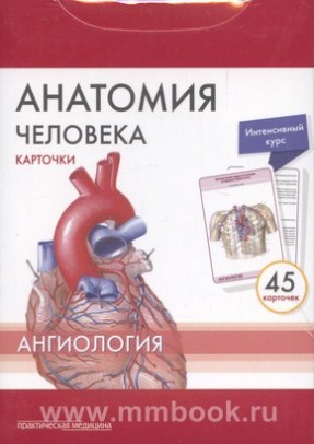 Анатомия человека: Карточки