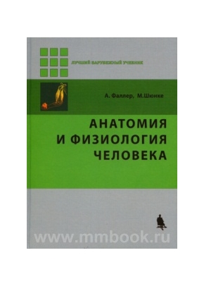 Анатомия и физиология человека