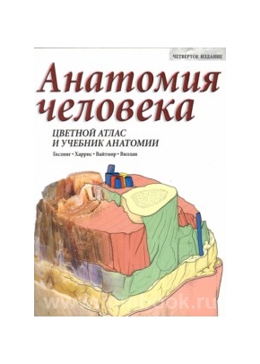 Анатомия человека: цветной атлас и учебник анатомии