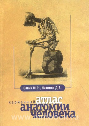 Атлас анатомии человека (карманный формат)