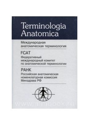 Международная анатомическая терминология