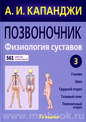 Позвоночник: Физиология суставов