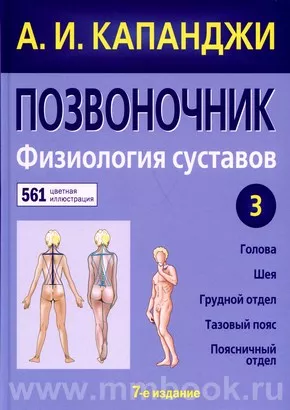 Позвоночник: Физиология суставов