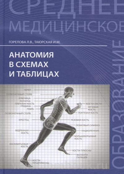 Анатомия в схемах и таблицах