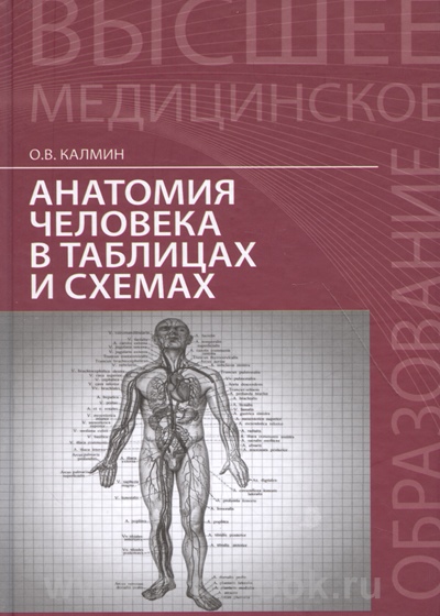 Анатомия человека в таблицах и схемах: учеб. пособие