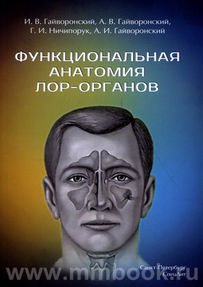 Функциональная анатомия ЛОР-органов