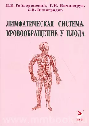 Лимфатическая система. Кровообращение у плода: учебное пособие
