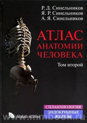 Атлас анатомии человека в 4-х т. Том 2