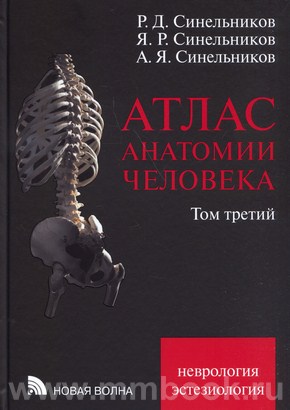 Атлас анатомии человека в 3-х т. Том 3