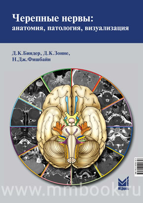 Черепные нервы: анатомия