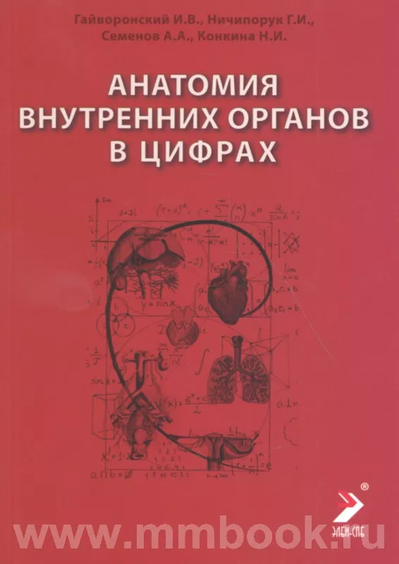 Анатомия внутренних органов в цифрах