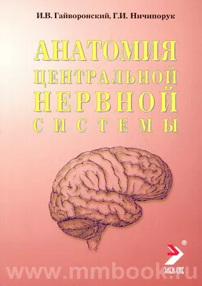 Анатомия центральной нервной системы
