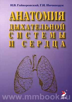 И.В. Гайворонский, Г.И.Ничипорук - Анатомия дыхательной системы  и сердца