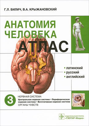 Анатомия человека : атлас. В 3-х томах. Том 3. Нервная система