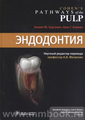 Эндодонтия