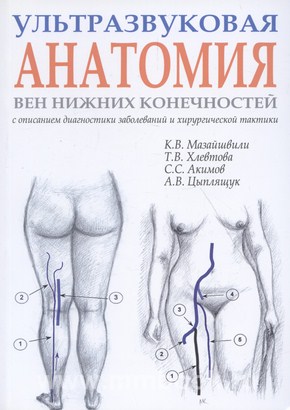 Ультразвуковая анатомия вен нижних конечностей