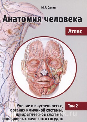 Анатомия человека. Атлас. В III томах. Том II. Учение о внутренностях, органах имунной системы, лимфатической системе, эндокринных железах и сосудах 