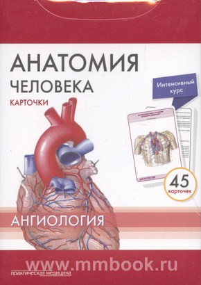 Анатомия человека: Карточки (45шт). Ангиология. Русские и латинские названия анатомических структур