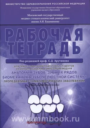 Анатомия зубов, зубных рядов. Биомеханика зубочелюстной системы. Пропедевтика стоматологических заболеваний