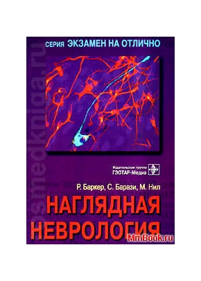 Наглядная неврология