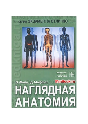 Наглядная анатомия