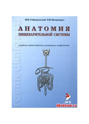 Анатомия пищеварительной системы