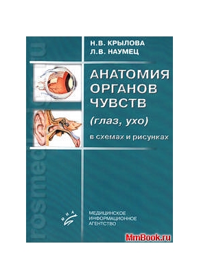 Анатомия органов чувств в схемах и рисунках (глаз, ухо)