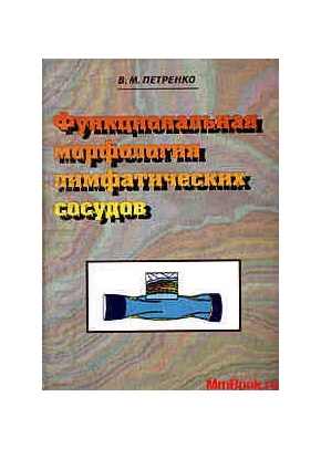 Функциональная морфология лимфатических сосудов