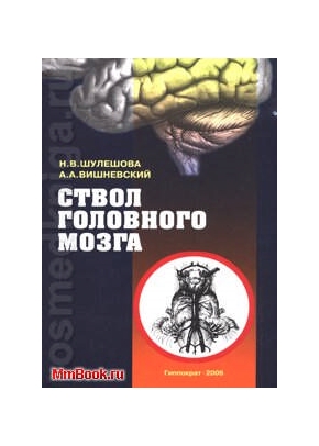 Ствол головного мозга