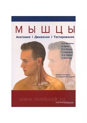 Мышцы. Анатомия. Движения. Тестирование
