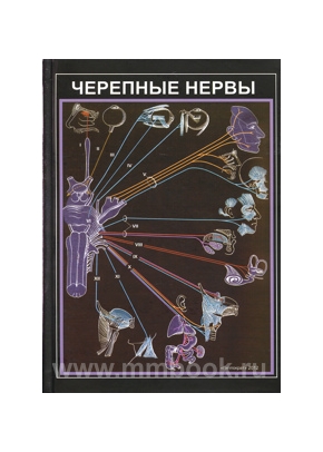 Черепные нервы