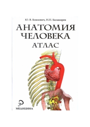 Анатомия человека: атлас