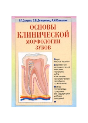 Самусев Р. П. - Основы клинической морфологии зубов