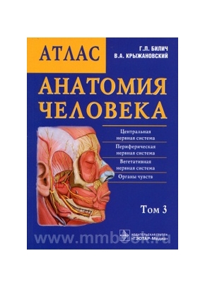 Анатомия человека: краткий атлас. В 3-х томах. Том 3. Нервная система