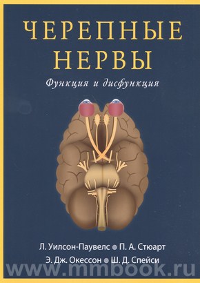 Черепные нервы. Функция и дисфункция