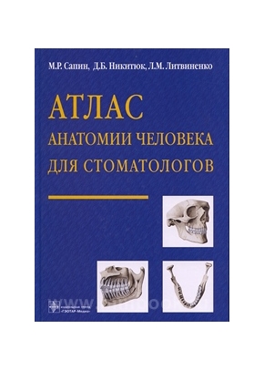 Атлас анатомии человека для стоматологов