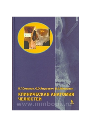 Клиническая анатомия челюстей