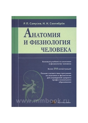 Анатомия и физиология человека