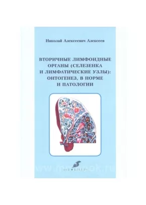 Вторичные лимфоидные органы (селезенка и лимфатические узлы): онтогенез, в норме и патологии