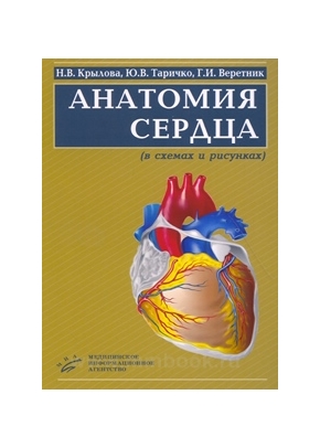 Крылова Н.В. - Анатомия сердца (в схемах и рисунках)