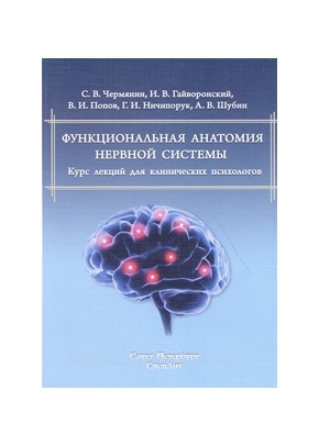 Функциональная анатомия нервной системы. Курс лекций для клинических психологов