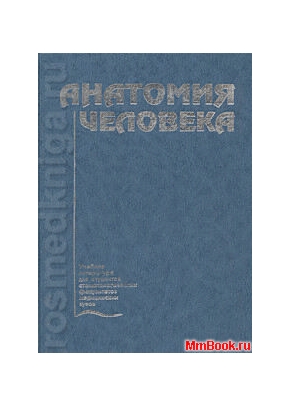 Анатомия человека (для стомат.факультета)