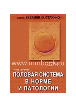 Половая система в норме и патологии