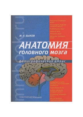 Анатомия головного мозга. Фотографический атлас