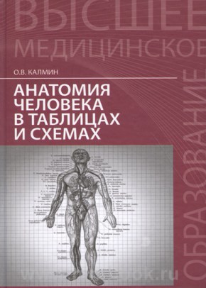 Анатомия человека в таблицах и схемах: учеб. пособие 