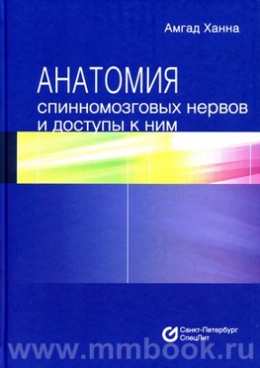 Анатомия спинномозговых нервов и доступы к ним